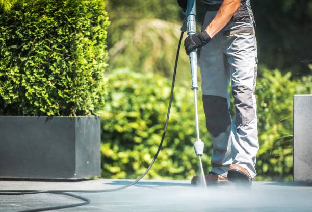 Best Soft Washing for Delicate Surfaces in Thiensville, WI