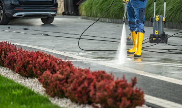 Best Driveway Cleaning and Restoration in Thiensville, WI
